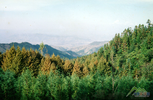  Piantou Mountain Forest Park