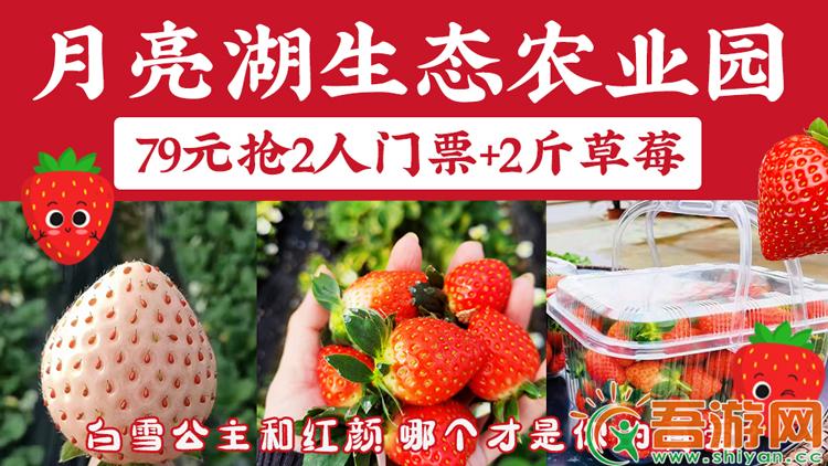  [Moon Lake Ecological Agricultural Park] 79 yuan for double ticket+2 jin strawberries