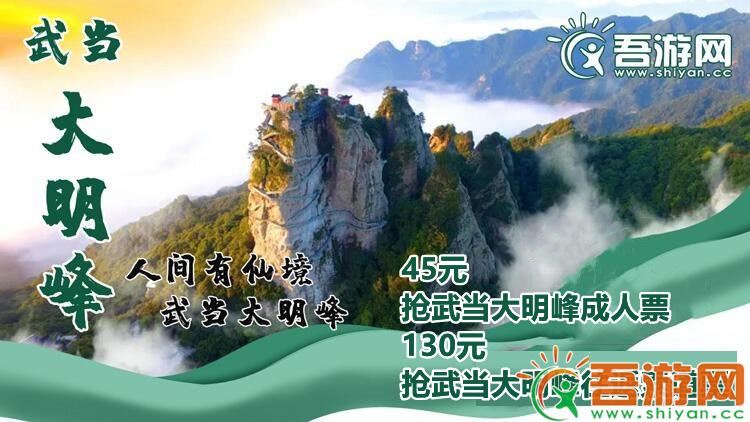  [Wudang Daming Peak Scenic Area] 45 yuan for adult ticket